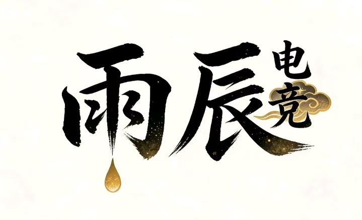 雨辰支付